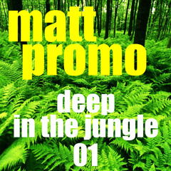 MATT PROMO - Deep In the Jungle 01 (Tribal House 16.12.02)