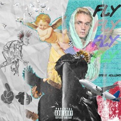 Fly