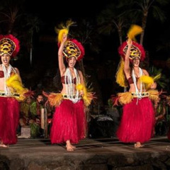 Review Special Price Chief'S Luau Admission Including Transfers