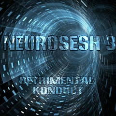 Detrimental Konduct - Neurosesh 3