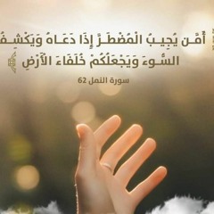 أم من يجيب المضطر إذا دعاه