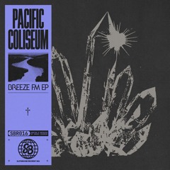 PREMIERE: Pacific Coliseum - Feel Free (Tech Support Remix)