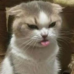 Żabson - pok0ra nightcore