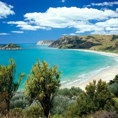 NZ Summer Soulful DnB Rollers