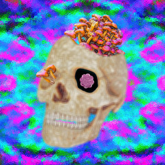 Open up your mind (REMASTERED)