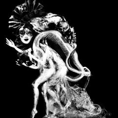 If drill was just a little autistic