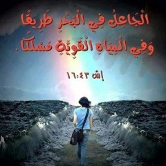 هحكي ليك مش هحكي تاني لحد غيرك مهمه كان 🙏حالات واتس ترانيم