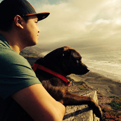 Final Mix VIII: Standing in a field of daisies [Daisy's mixtape]