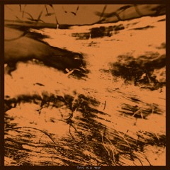 2F (Feat. Scalymoth)