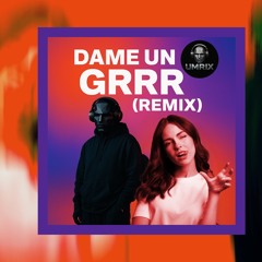 DAMN UN GRRR Techno Remix.wav