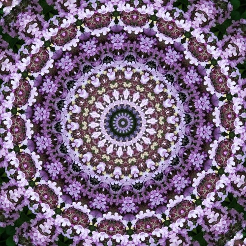 Gamma Tonic