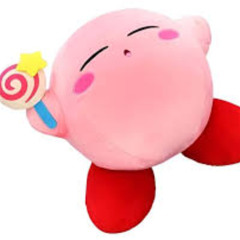 kirby ts