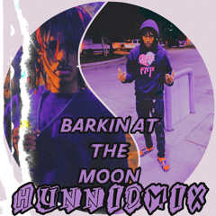 BARKIN AT THE MOON HUNNIDMIX (44 ZOMEO REMIX)