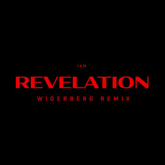REVELATION (widerberg REMIX) [feat. Jalal Ramdani & Mavhungu]