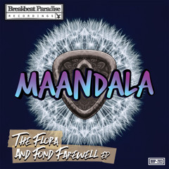 Maandala - Monstera 5