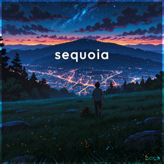 sequoia