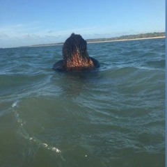 TOKWENG 🇵🇬🎶