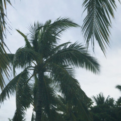 不拆穿 - 1 đoạn