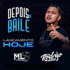 MC RODRIGO DO CN - DEPOIS DO BAILE ( DJ ML DO CAMPINHO )