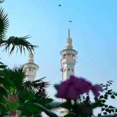 وَعَاشِرُوهُنَّ بِالْمَعْرُوفِ ۚ | تلاوة طيبة من سورة النساء ١٤٣٢هـ | العفاسي