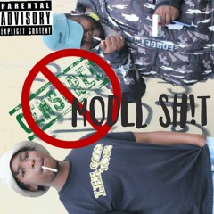 Model Sh!t FT. KANZAS [ music video on youtube]