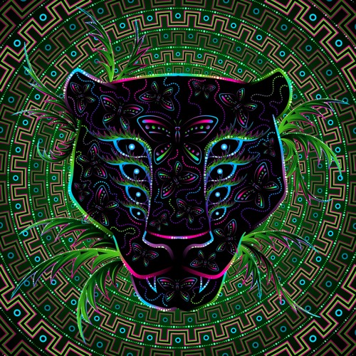Dooley- Earthly Experience (ft. Josh Teed)  [Yatao Handpan]