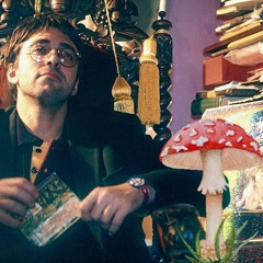 Квантовый Мухомор Компьютер / Quantum fly agaric Computer