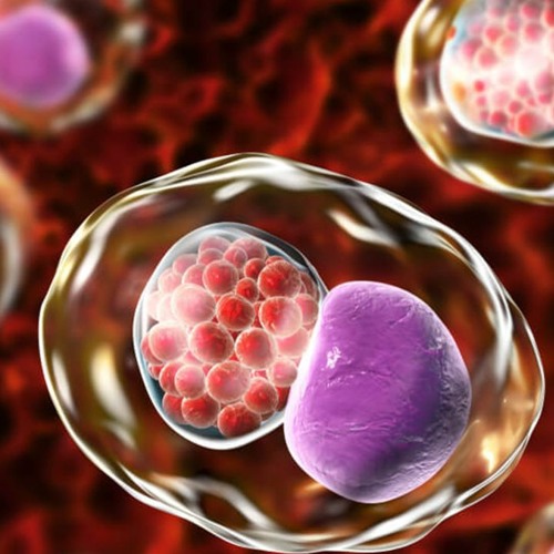 Stream Chlamydia Infection Treatment | Reduce Urinary Pain & Eradicate ...