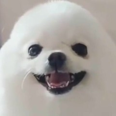 my tourney subs, mashups, and arranges