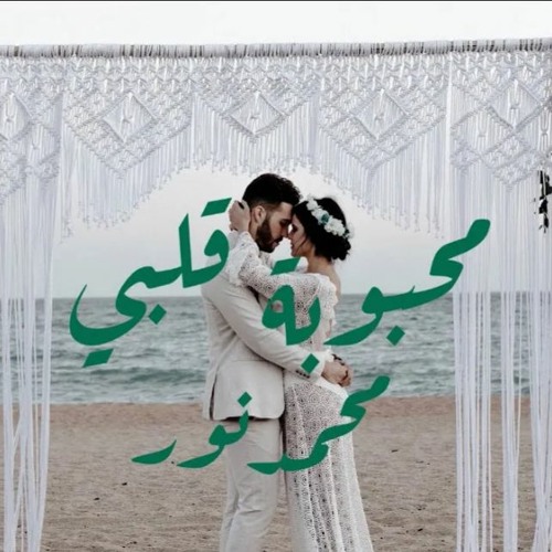 محمد نور محبوبة قلبي 2023