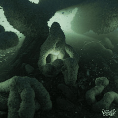 𝐏𝐑𝐄𝐌𝐈𝐄𝐑𝐄 | Archypness  - Chandra [Obtuse Swamp]