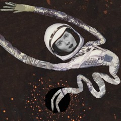 Fall Into a Black Hole