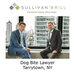 Dog Bite Lawyer Tarrytown, NY