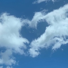 PSA: Emergency Evacuation