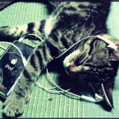 PARTY HARDER THAN U DO