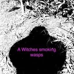 Witches Smoking With The Enchanted Wasps Again