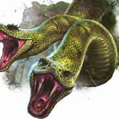 Amphisbaena _ version New Beat