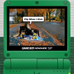 Flip When I Kick