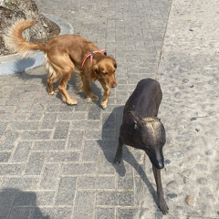 I don't owe you anything ( extended )