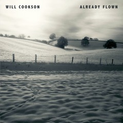 Will Cookson - Already Flown (with lyrics)