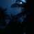 Artwork for Andaman Cleanup 2020 | Jimmy Lee Wolff 808 (19.01.20)