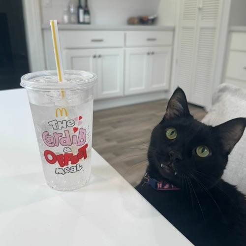 on my ex - yvngrhodes ft. xannyd (prod. classik)