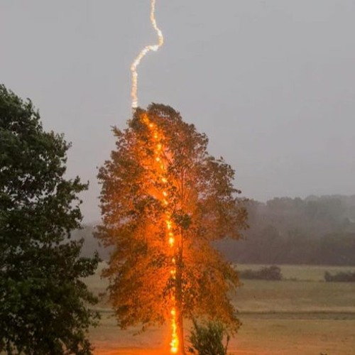 ZERO 18.08.2023 Master 01 - 001