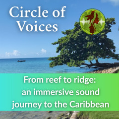 From reef to ridge: an immersive sound journey to the Caribbean