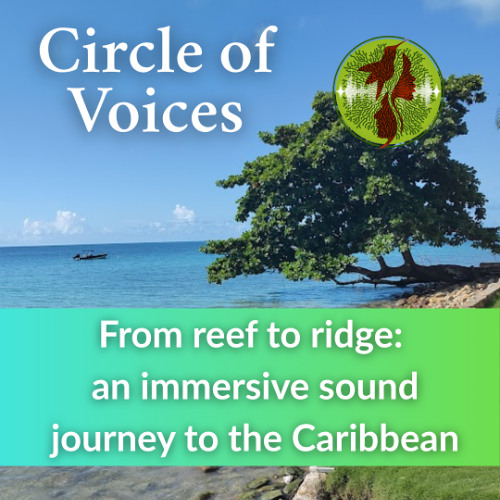 From reef to ridge: an immersive sound journey to the Caribbean