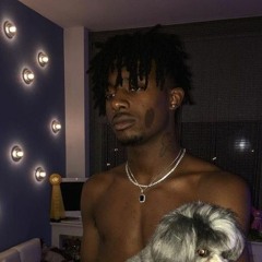 Playboi Carti - Midnight Vice City(432hz)