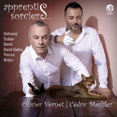 Danse macabre, Op. 40 (Transc. for 2 Pianos by Camille Saint-Saëns) [Arr. for Organ]