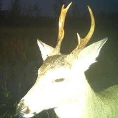 Come over me (prod.xenshel)