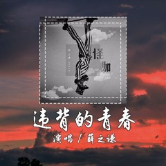 薛之谦 - 违背的青春 [原谅我可好 我失陪的青春] 【動態歌詞/pīn yīn gē cí】
