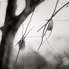 Les Choristes - Vois Sur Ton Chemin (Herhangi/Edit)